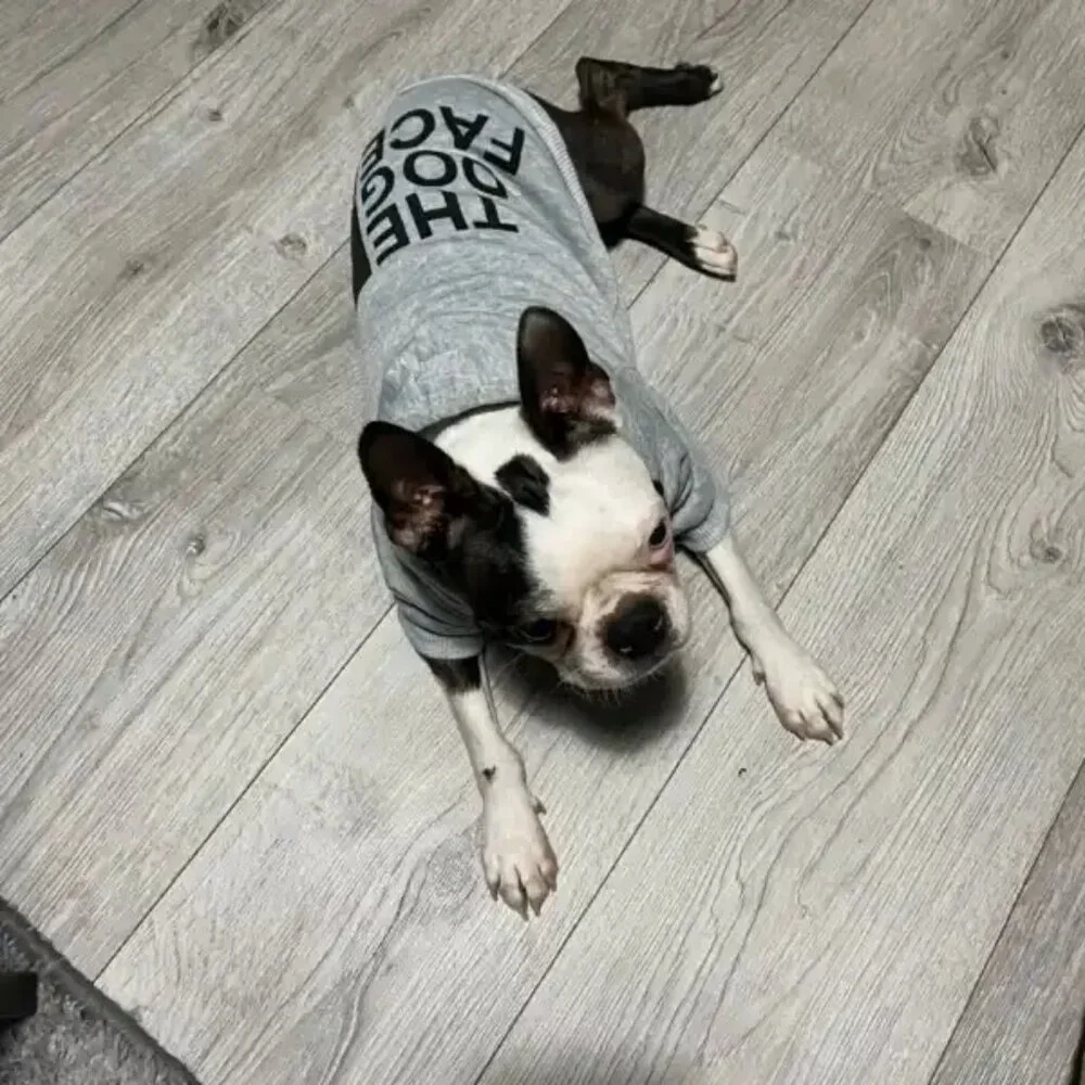 Puppy Pet The Dog Face Blue M Fleece Hoodie Coat Jacket Vest Apparel Clothing‎